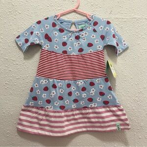 Lilly + Sid Strawberry and Striped Organic Cotton Baby Girl Dress 0-3 Months